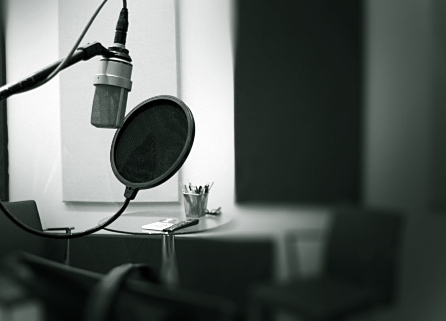 Noise Floor Studio microphone Noise Floor Studio microphone